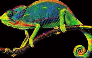 dtf transfer printer