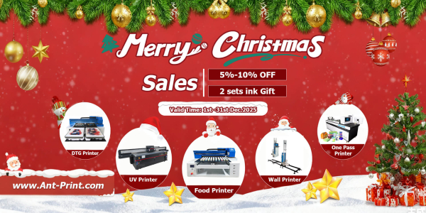 2025 Christmas promotion